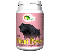 Potent Power 100 tablete